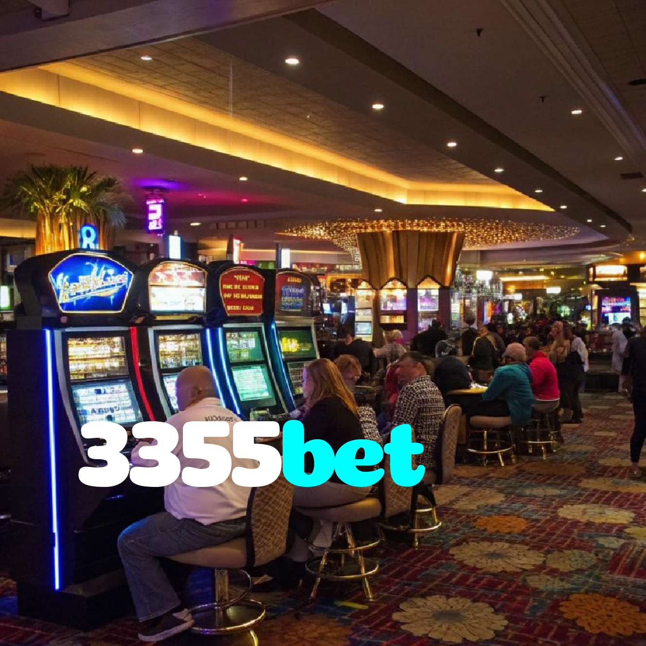3355bet